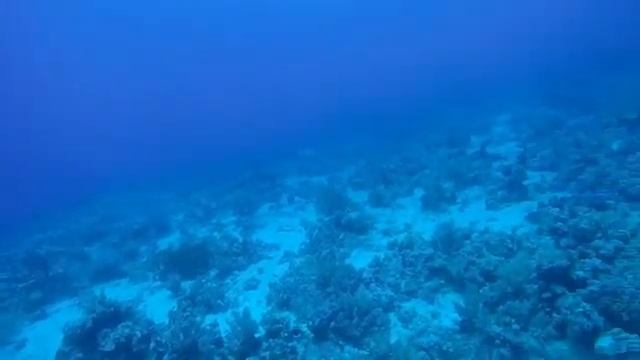 Музыка для сна и отдыха для ума, обеспечивает спокойный и расслабляющий сон, исцеляет вашу душу смотреть онлайн