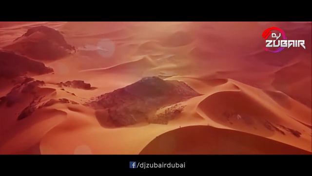 Karunesh - Punjab × Desert Rose | Mashup | DJ Zubair Dubai