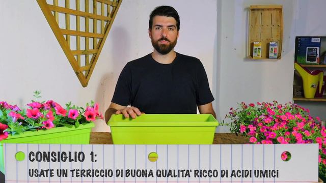 Calibrachoa - 5 Trucchi per un balcone FIORITO tutta l'ESTATE + BONUS смотреть онлайн