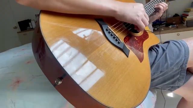 Skysonic 902 vs Fishman Rare Earth Blend Shootout Taylor 514ce смотреть онлайн
