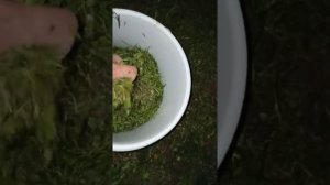 Хранение выползка