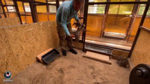 Виды фазанов в моём питомнике. Pheasant species in my nursery.