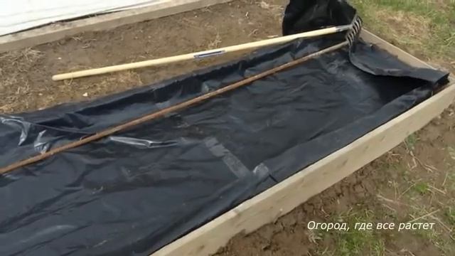 Помидоры. О богатом урожае позаботимся заранее.mp4 смотреть онлайн