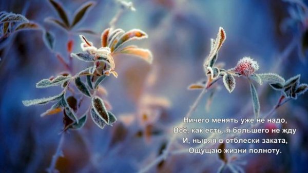 СЧАСТЬЕ ЛЮБИТ ТИШИНУ стихи Лилии Конторщиковой