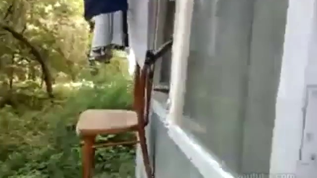 Кошачий лифт смотреть онлайн