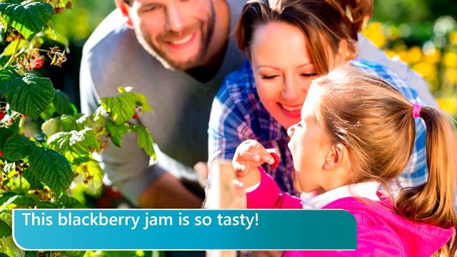 21 blackberry 'blækbərɪ 'блэкбэри — ежевика смотреть онлайн