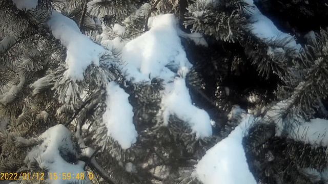 Правдивая сплетница Наталья -- бред сивой кобылы . Заимка на Урале . смотреть онлайн