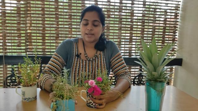 Growing my 10 indoor plant cuttings in water | All Results shown |100% success| Zero care method