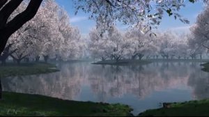 Шуберт. Вечерняя серенада.