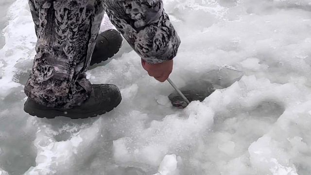 Поимки спорт зона смотреть онлайн