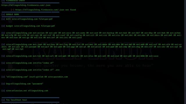 HawkScan tool for Reconnaissance and Information Gathering on a website смотреть онлайн