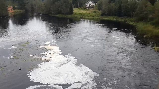 План водного похода по реке Оредеж смотреть онлайн