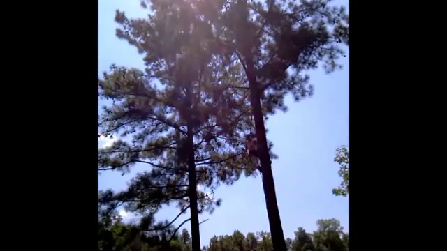 Сломал ногу и спину смотреть онлайн