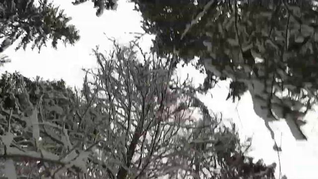 2017 лыжня Поваровки смотреть онлайн