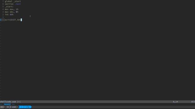 Buffer Overflows Part 2 - Shellcode смотреть онлайн