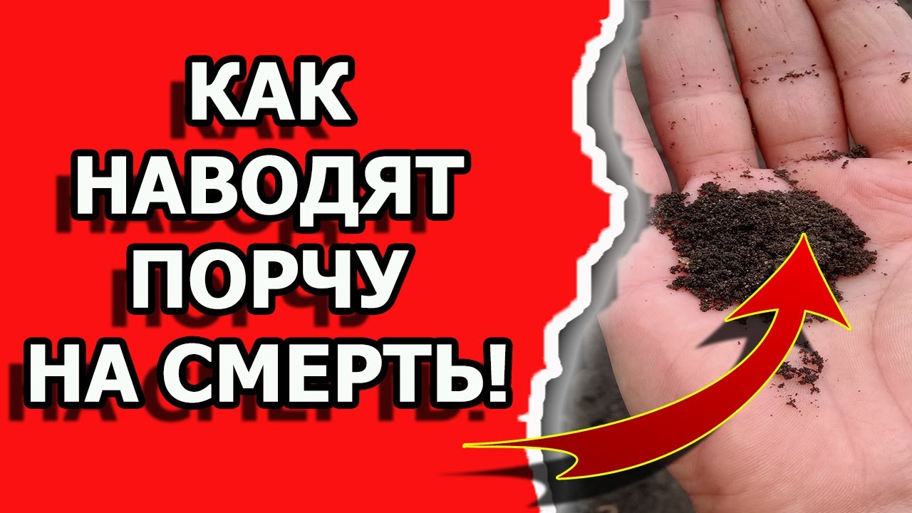 Как наводят порчу на смерть кладбищенской землей смотреть онлайн