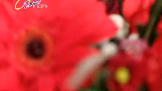 Самый Большой Выбор Живых Цветов во Флора Тверь смотреть онлайн