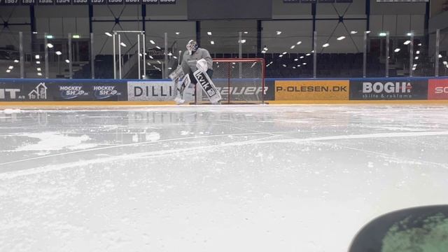 Herning BLUE FOX TRAINING SESSION - Mac Carruth смотреть онлайн