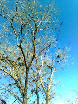 "Куда уходит детство"  🐞🌹❤️🫶🚀👍😉