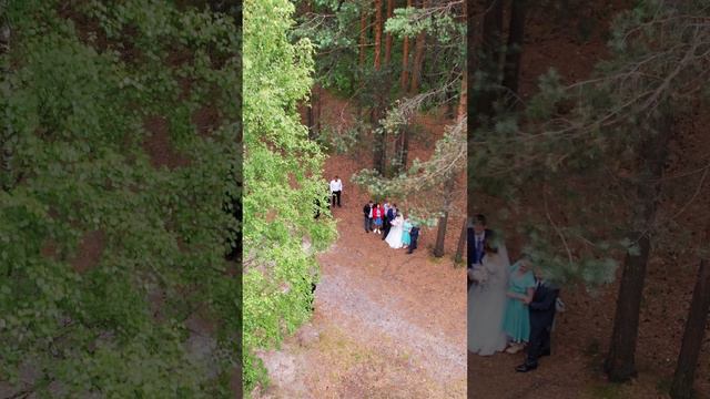 Сегодня свадьба у ребят смотреть онлайн