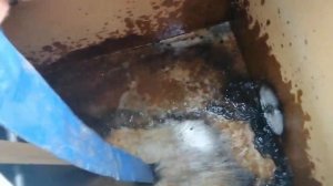 Откачиваем  выгребную яму насосом для канализации. Испытания!