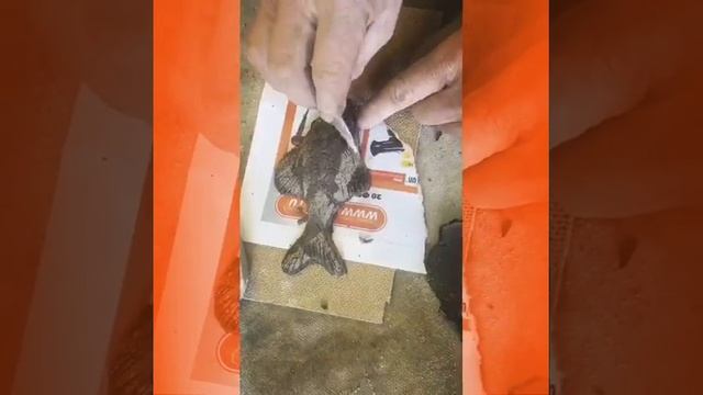 Что дарить на любой праздник смотреть онлайн