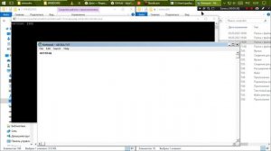 Запуск 16-битных приложений в современных Windows [1080p]
