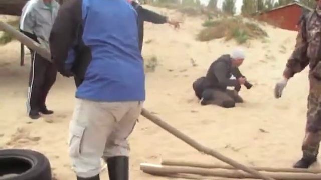 "На морском песочке" - 13 смотреть онлайн