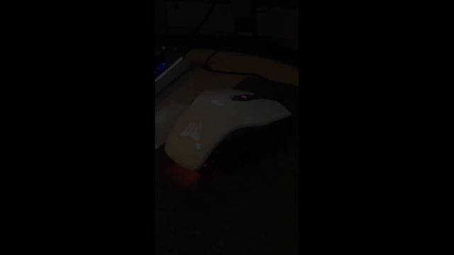 CORSAIR M65 PRO RGB UNBOXING смотреть онлайн