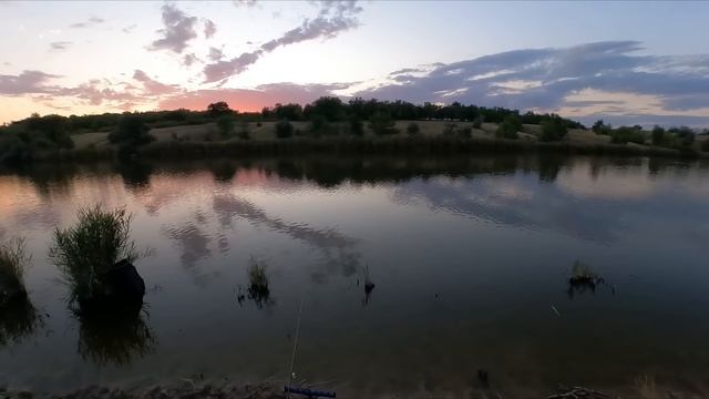 Вечір і ранок короп на тигровий горіх смотреть онлайн