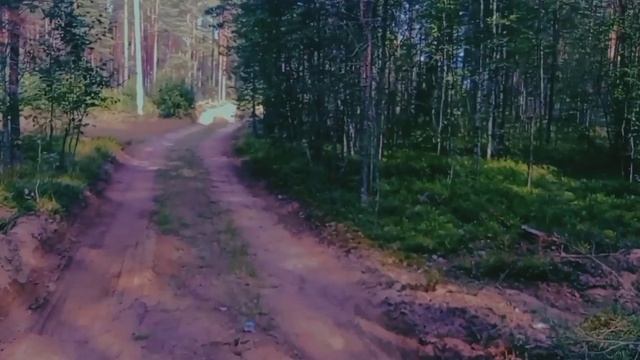 VHS SLENDERMAN FOUND FOOTAGE! ВИДЕО С КАССЕТЫ ИЗ ЛОГОВА! смотреть онлайн