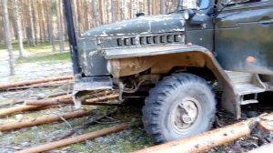 Урал лесовоз Подбор леса в Сосновом Бору...