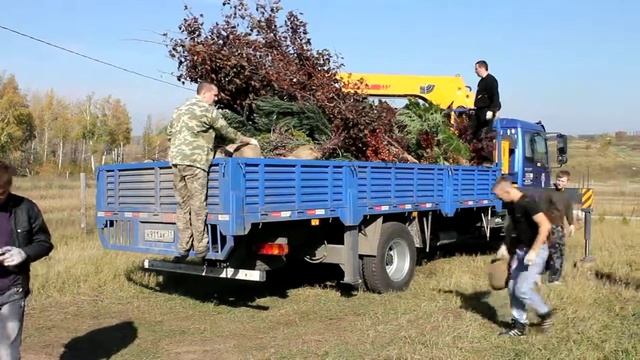отгрузка из питомника (проект: Верхняя Хава) смотреть онлайн