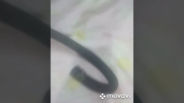 Dual carb хонда ремонт подкапотной косы смотреть онлайн