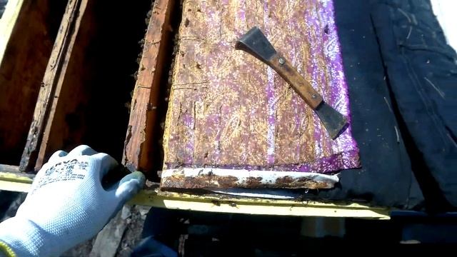 Как подготовить семьи пчёл к быстрому развитию. смотреть онлайн