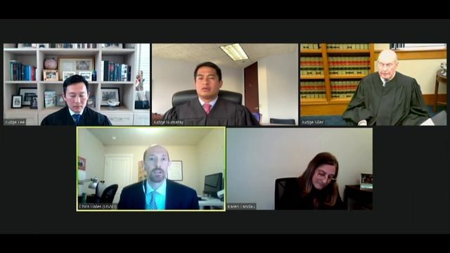 18-10382 USA v. Brian Stone смотреть онлайн