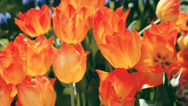 Поздравления нашим участницам смотреть онлайн