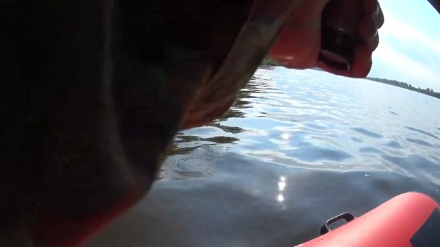 ПОД ЭТИМИ КУСТАМИ ПОЛНО РЫБЫ! Язь, жерех, щука. Рыбалка на спиннинг сплавом. Ловля язя на спиннинг смотреть онлайн