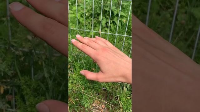 После 2 часов фланкировка шашкой? What Happens After Sword Training ?