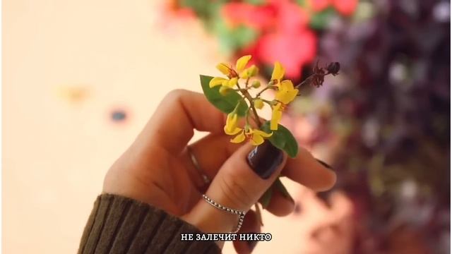 ЦЕННЫЕ СОВЕТЫ ВСЕМ ЖЕНЩИНАМ и МУЖЧИНАМ от Садхгуру ! #жизнь #sadhguru #цитаты смотреть онлайн