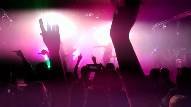 Pain Of Salvation - Disco Queen (live In Progresja)