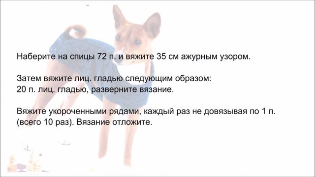 Ажурный свитер для собачки смотреть онлайн