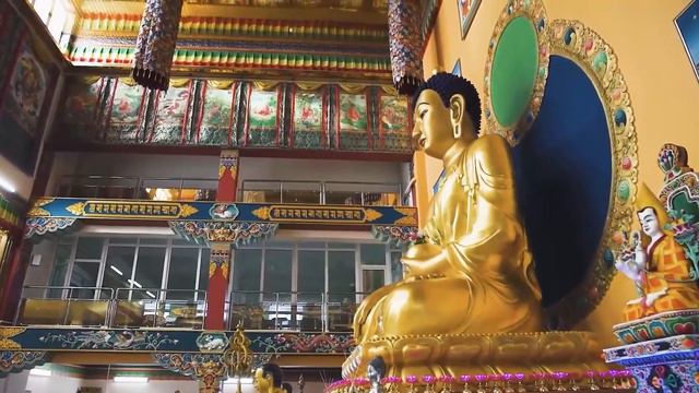 Звериные истории: мир природы