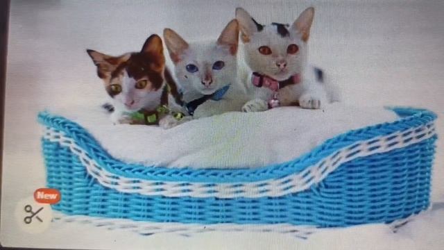 Математичний розвиток Тема "Склад числа 4." смотреть онлайн