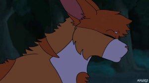 Коты воители - fall out boy - centuries(на русском)