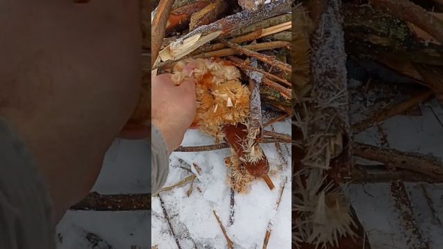 Как разжечь костёр зимой из сырых дров. Рабочий совет смотреть онлайн