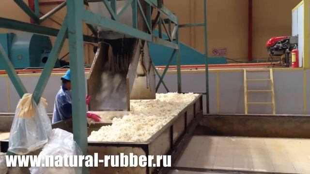 Производство: натуральный каучук SVR3L SVR5 смотреть онлайн
