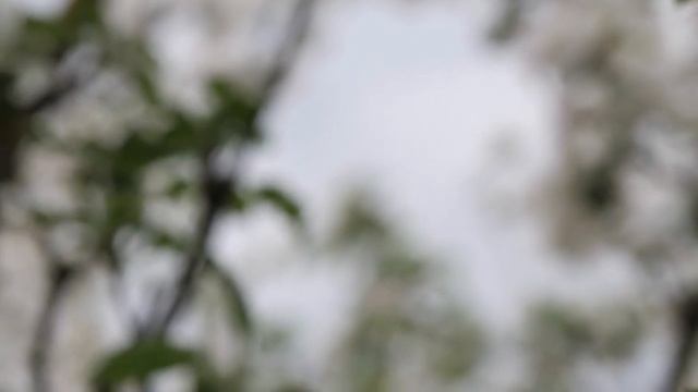 9 Марта - Тайна богатства и удачи | Лунный календарь смотреть онлайн