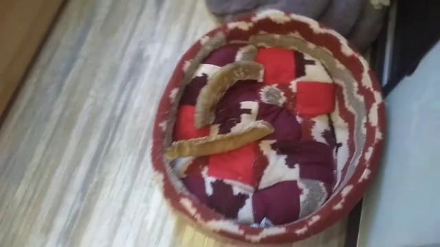 вкусняшки погрызушки для моих любимых чихуахуа Симферополь Кастропуло продам щенков смотреть онлайн