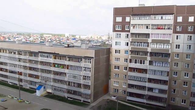 Лягушачьи песни в ТСЖ "Свияга-10".mov смотреть онлайн